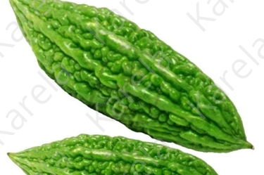 Karela