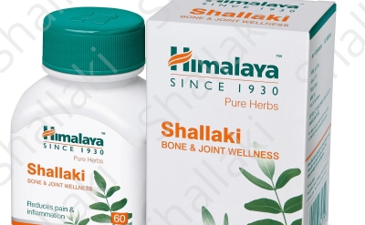 Shallaki